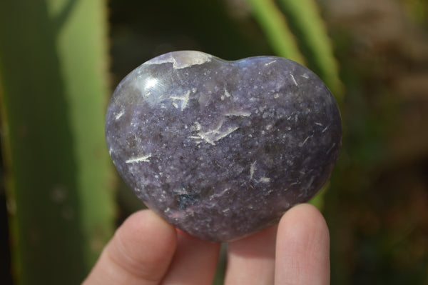 Polished Lepidolite Gemstone Hearts x 6 From Madagascar