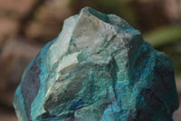 Natural Shattuckite Matrix Specimens x 11 From Kaokoveld, Namibia