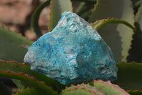 Natural Shattuckite Matrix Specimens x 11 From Kaokoveld, Namibia