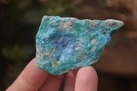 Natural Shattuckite Matrix Specimens x 11 From Kaokoveld, Namibia