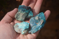 Natural Shattuckite Matrix Specimens x 11 From Kaokoveld, Namibia