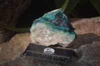 Natural Shattuckite Matrix Specimens x 11 From Kaokoveld, Namibia