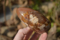 Polished Flower Agate Standing Free Forms x 3 From Madagascar