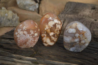 Polished Flower Agate Standing Free Forms x 3 From Madagascar