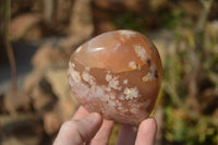 Polished Flower Agate Standing Free Forms x 3 From Madagascar