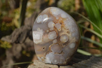 Polished Flower Agate Standing Free Forms x 3 From Madagascar