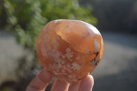 Polished Flower Agate Standing Free Forms x 3 From Madagascar