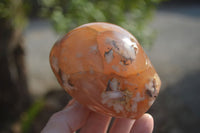 Polished Flower Agate Standing Free Forms x 3 From Madagascar