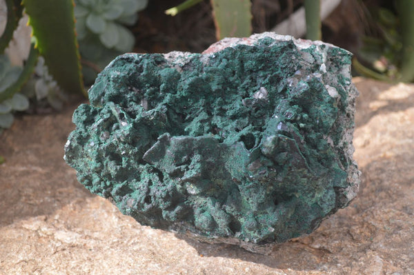 Natural Crystalline Malachite With Smokey Quartz Specimen x 1 From Congo