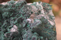 Natural Crystalline Malachite With Smokey Quartz Specimen x 1 From Congo