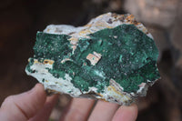 Natural Crystalline Malachite Specimens x 6 From Kasompe, Congo