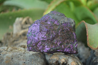 Natural Metallic Purpurite Cobbed Specimens x 12 From Erongo, Namibia