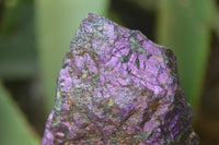 Natural Metallic Purpurite Cobbed Specimens x 12 From Erongo, Namibia