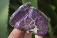 Natural Metallic Purpurite Cobbed Specimens x 12 From Erongo, Namibia