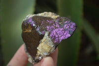 Natural Metallic Purpurite Cobbed Specimens x 12 From Erongo, Namibia