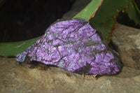 Natural Metallic Purpurite Cobbed Specimens x 12 From Erongo, Namibia