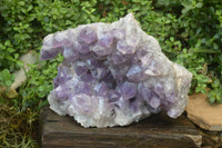 Natural Jacaranda Amethyst Cluster x 1 From Mumbwa, Zambia