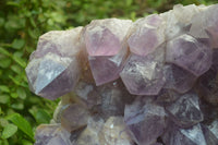 Natural Jacaranda Amethyst Cluster x 1 From Mumbwa, Zambia