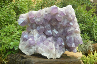 Natural Jacaranda Amethyst Cluster x 1 From Mumbwa, Zambia