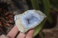 Natural Blue Lace Agate Specimens x 12 From Nsanje, Malawi