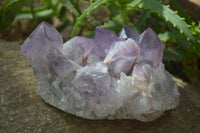 Natural Jacaranda Amethyst Clusters x 2 From Mumbwa, Zambia