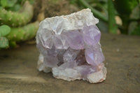 Natural Jacaranda Amethyst Clusters x 2 From Mumbwa, Zambia