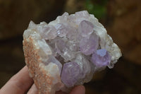 Natural Jacaranda Amethyst Clusters x 2 From Mumbwa, Zambia