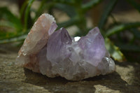 Natural Jacaranda Amethyst Clusters x 2 From Mumbwa, Zambia