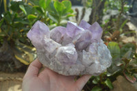 Natural Jacaranda Amethyst Clusters x 2 From Mumbwa, Zambia