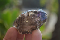 Natural Smokey Amethyst Crystals x 12 From Chiredzi, Zimbabwe