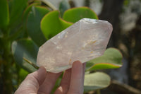 Polished Rose Quartz Double Terminated Crystals x 3 From Madagascar