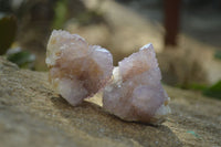 Natural Amethyst / Ametrine Spirit Quartz Clusters x 12 From  South Africa