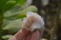 Natural Amethyst / Ametrine Spirit Quartz Clusters x 12 From  South Africa