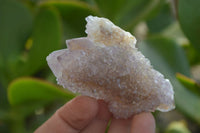 Natural Amethyst / Ametrine Spirit Quartz Clusters x 12 From  South Africa