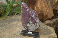 Polished Rubellite Pink Tourmaline Standing Free Form x 1 From Madagascar