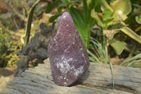 Polished Rubellite Pink Tourmaline Standing Free Form x 1 From Madagascar