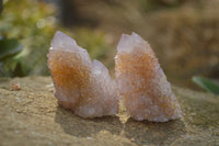 Natural Ametrine Spirit Quartz Crystals x 20 From Boekenhouthoek, South Africa