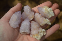 Natural Ametrine Spirit Quartz Crystals x 20 From Boekenhouthoek, South Africa