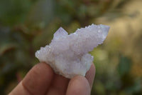 Natural Ametrine Spirit Quartz Crystals x 20 From Boekenhouthoek, South Africa