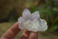 Natural Ametrine Spirit Quartz Crystals x 20 From Boekenhouthoek, South Africa