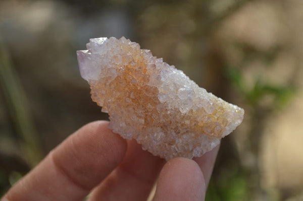 Natural Ametrine Spirit Quartz Crystals x 20 From Boekenhouthoek, South Africa