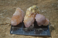 Natural Ametrine Spirit Quartz Crystals x 20 From Boekenhouthoek, South Africa