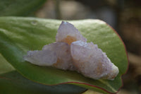 Natural Ametrine Spirit Quartz Crystals x 20 From Boekenhouthoek, South Africa