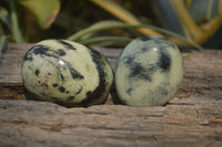 Polished Leopard Stone Galet-Palm Stones x 12 From Zimbabwe