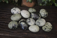 Polished Leopard Stone Galet-Palm Stones x 12 From Zimbabwe