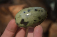 Polished Leopard Stone Galet-Palm Stones x 12 From Zimbabwe