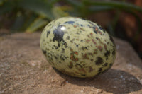 Polished Leopard Stone Galet-Palm Stones x 12 From Zimbabwe