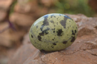 Polished Leopard Stone Galet-Palm Stones x 12 From Zimbabwe