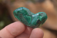 Polished Flower Banded Malachite Free Forms x 70 From Congo