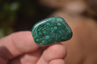 Polished Flower Banded Malachite Free Forms x 70 From Congo